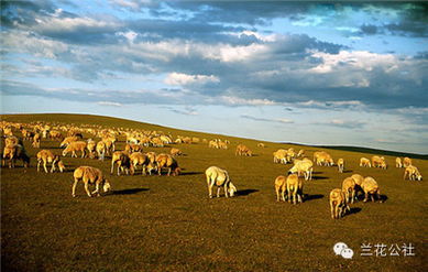 呼倫貝爾，不僅有最美的夏天，還有童話般的金秋——農林牧漁的豐盈畫卷