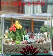 上海清繪園藝養護服務 以專業匠心，守護城市綠意之美